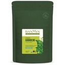 Banyan Botanicals Organic Guduchi Powder - Organic immun Health Supplement - for Natural Detox, Balanceret fordøjelse og sund hud * - 1 LB - ikke-GMO bæredygtigt sour Vegan FFL