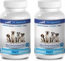 hundeurininkontinens naturlige retsmidler - DOG URINAL TRACT SUPPORT - NATURLIG CRANBERRY OPLØSNING - BLADDER SUNDHED - VET ANBEFALET - majs silke supplement til hunde - 2 Flaske (180 Traktater)