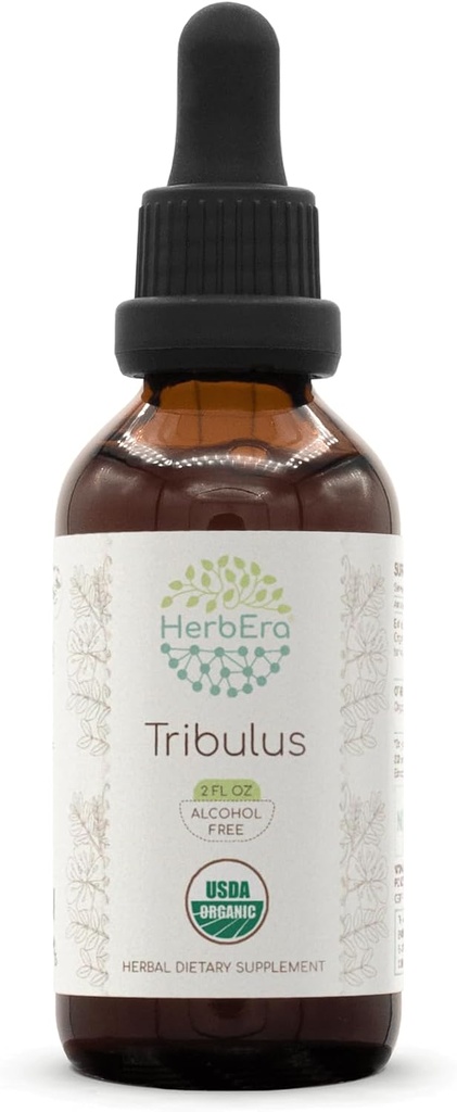 HerbEra Tribulus B60 Alkohol- Free Herbal Extract Tinktur, Koncentrerede flydende dråber Natural USDA Organic Tribulus (Tribulus Terrestris) Tørret frugt (2 fl oz)