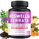 Boswellia kapsler med Boswellia, gurkemeje, Quercetin og mere - 90 kapsler til 3 Måneders forsyning