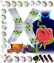 All Natural Detox Cleanse Instant Tea Mix Prune & Plum w. Fiber & Inulin til Optimal Intestinal Transit af FuXion Prunex 1 (10 Sachets)