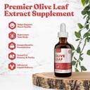 Rejuvica Aktiv Olive Leaf Uddrag 124; naturligt occurring Oleuropein Flydende dråber til immunforsvar & Heart Support