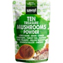 Wixar Mushroom Powder - Ten Treasure Mushrooms Extract Supplement Blend for Coffee & Smoothies - Lions Mane, Tyrkiet Hale, Reishi, Chaga, Shiitake, Cordyceps, Complex - 4oz Mushroom Supplement