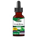 Naturens svar Gotu Kola Herb Alkohol Gratis, 1-Fluid Ounce Note 124; Kosttilskud Note 124; Understøtter en sund immunsystem