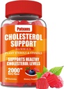 1 Pack Cholesterol Support Gummies, Indeholder 2000MG af Plant Steroler & Steroler, Cholesterol Complex Gummies, Support Sunde Cholesterol Niveau, Energistøtte, Blandede Berry Flavor, 60 Tæller