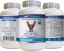 Eye Care for Dogs - Hunde Eye Health Formel - Advanced Eye Support Complex - VETS Anbefalet, Hund Cranberry, Eye Vision Supplement for Hunde, Supplement for Eye Care, Eye Support Vitamin 1Bot 60Tabs