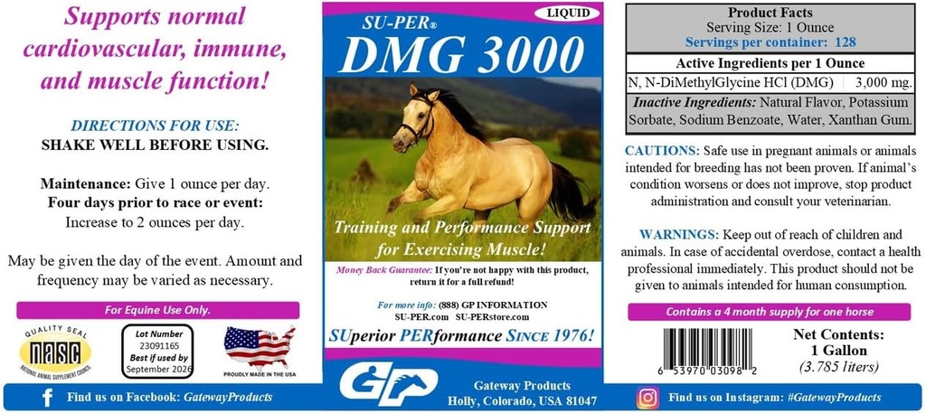 SU- PER DMG 3000 Horse Supplement - Træning & Performance Support Flydende - Understøtter normal kardiovaskulær immunforsvar & muskelfunktion - 1 Gallon, 4 Måned Supply