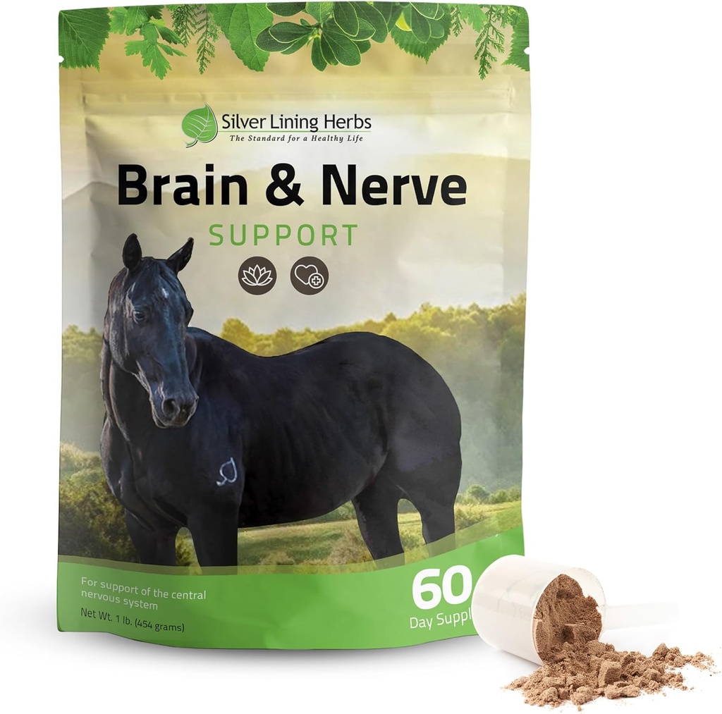 Sølv Lining urter Brain & Nerve Support for Heste - Horse Kosttilskud til Fokus, Mental Sundhed & Brain Support - Indeholder urtebind af Ginkgo, Gotu Kola, & Mere - 1 LB 60- Day Supply