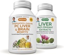ANDREW LESSMAN PC Lever og hjerne fordele + lever Antioxidant Ekstrakter Kit: 300 kapsler (180 + 120) - Phosphatidylcholin, Milk Thistle, Artichoke, Curcumin.