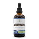 Secrets of the Tribe Tongkat Ali Alcohol-Free Liquid Extract, Wildcrafted Tongkat Ali (Eurycoma Longifolia) Dried Root (4 FL OZ)