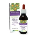 Naturalma Velsignet Thistle eller Hellige Thistle (Cnicus benedictus) urt med blomster Alkohol- Gratis tinktur - 4 fl oz flydende ekstrakt i dråber - Urtetilskud - Vegan