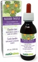 Naturalma Velsignet Thistle eller Hellige Thistle (Cnicus benedictus) urt med blomster Alkohol- Gratis tinktur - 4 fl oz flydende ekstrakt i dråber - Urtetilskud - Vegan