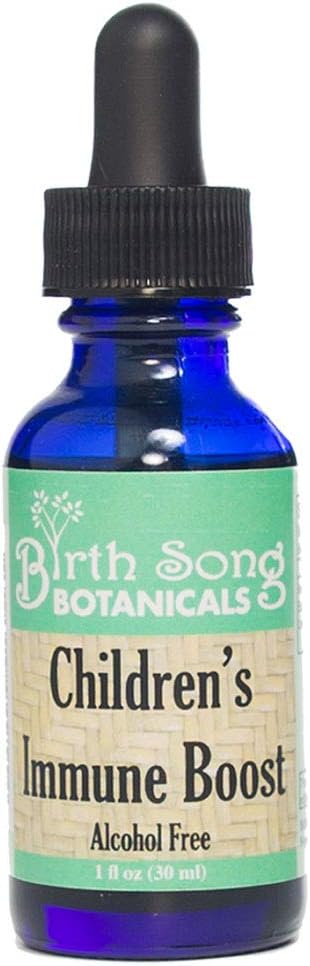Fødsel Song Botanicals Børns Immunitet Boost Tinktur *, Kids Immunsystemet Support med Echinacea, Flydende Herbal Immundråbe til børn, Børns Echinacea Herb Immunitetsformel 1oz flaske