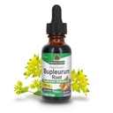 Naturens svar Bupleurum Root Bupleurum Chinense - Natural Herbal Supplement - Gluten Alkohol- Gratis - Ideel til lever Immunitet Samlet sundhed velvære - 1000mg (1 FL Oz)