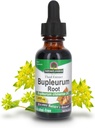 Naturens svar Bupleurum Root Bupleurum Chinense - Natural Herbal Supplement - Gluten Alkohol- Gratis - Ideel til lever Immunitet Samlet sundhed velvære - 1000mg (1 FL Oz)