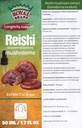 Reishi Mushroom Supplement / Vores Reishi Mushroom Extract fremmer Longevity / Reishi Mushroom Tincture - 50ml / 1.7 Fl Oz