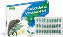Calcium Reptile tillæg med tilsat vitamin D3 Buddy Ideel til Bearded Dragons, Turtles & Mere