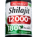 Lab Note 124; shilajit