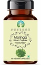Moringa Extract 500mg - 60 vegetariske kapsler er 124; Moringa Oleifera er 124; Alle naturlige stoffer er 124; 100% Vegan er 124; Glutenfri er 124; GMP er certificeret.
