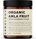 100% Organic Amla Powder 3.2 oz - 45 Servering - Indisk Gooseberry - Immunity Support - Hud og hår regeneration - Rig i C-vitamin - Lige fra gård i Indien - Raw, Vegan og Gluten- Free