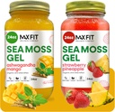 Sea Moss Gel Organic Raw (Bundle of 2 Jars 24oz) Ashwagandha Mango and Strawberry Pineapple Wildсrafted Gold Sea Moss Gel 124; 92 Vitamin og mineraler Buddy 124; Pure Raw + Non- GMO Buddy 124; Vegan Superfood
