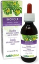 Naturalma Rhodiola rosea (Sedum roseum) Root Alkohol- Free Tincture - 4 fl oz Liquid Extract in Drops - Herbal Supplement - Vegan
