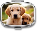 Pill Box 2 Segment Square Pill Organizer Daily Small Pill Case for Travel Cute Golden Retriever Puppy Metal Pill Container Portable Medicine Organizer for Pill Vitaminer Fish Oil Supplement
