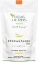 YOGIS HERBS Ponnanganni Leaf Powder (Sessile joyweed) - Holistisk sundhedstillæg for øje, hud, ben og immunwellness124; Natural Detox Aid -100 GMS (3.5 oz)