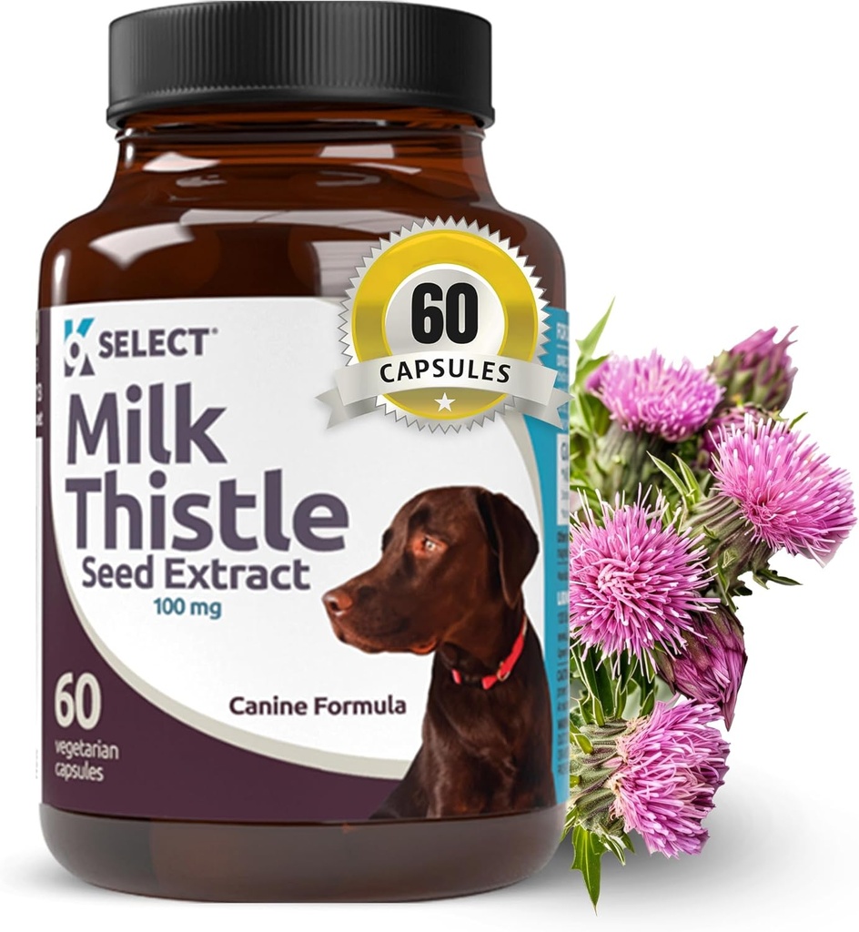 K9 Vælg mælk tidsel for hunde, 100mg - 60 vegetabilske kapsler - hunde lever sundhed mælk tidsel tillæg - mælk urte