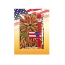 Hsu 's SKU 1223- 4; Medium Prung- 124; Dyrket Wisconsin American Ginseng Direct fra Ginseng Gardens