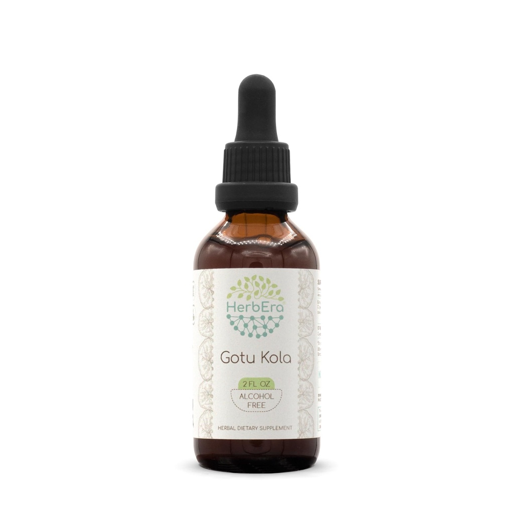 Gotu Kola B60 Tincture Alkohol- Free Herbal Extract, Koncentrerede flydende dråber Natural Gotu Kola (Centella Asiatica) 2 fl oz