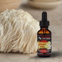 Lost Empire Herbs Mushroom Brain Spagyric Tincture ttesmå 124; Dual Extract of Lion 's Mane, Cordyceps, Reishi, Oyster Mushrooms for Cognition (1 fl oz)