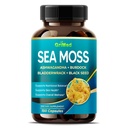 Premium Sea Moss med Ashwagandha, Burdock Bladderwrack, Black Seed for Immunsystem, Skin, Fordøjelse & Energi- Made in The USA (150 Greve (Pack of 1))