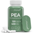 LongLifeNutri Palmitoylethanolamid (Pea) 400mg - 120 Vegetariske Kapsler, Organisk supplement til Diskomforthåndtering, 4-måned Supply, Lab Testet, Made in USA