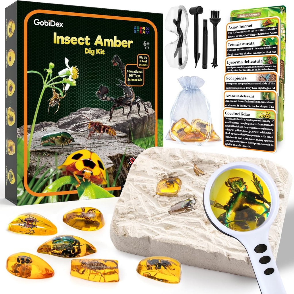 GobiDex Amber Dig Kit- Kunstig Insect Resin, Excavate 6 Insekter Enheder, STEM Geographic Educational Bugs Legetøj, Excavation Legetøj til sjove Bugs Party Favors, Science Kits for Kids Age 6-8 8-12