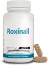 Stamina piller til mænd - Lavet med L Arginin & Maca - Forbedre ydeevne & Endurance, Byg Stamina føler stærkere, 60 kapsler