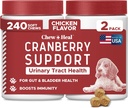 Hund UTI Behandling Tranebær supplement til hunde, 240 bløde tygger - Natural Urinary Tract Infektion Support og sund blærer kontrol - Lavet med Echinacea og C-vitamin (2 pakker af 120)