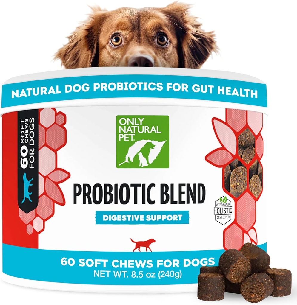 Kun Natural Pet Probiotic Dog and Cat Supplement - fordøjelsesmiddel & Gut Health Enzyme Formel, Puppy & Canine fordøjelsesmiddel, Bedste for Mave Relief & Gasaid - Soft Chews, 60 Greve.