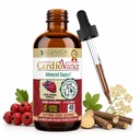 Rejuvica Health CardioVance - Heart Support - Flydende levering til bedre absorption - Hawthorne, Hibiscus, Arjuna, Olive Leaf & Mere!