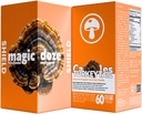 Magic Doze ™ Tyrkiet Tail Mushroom kapsler - 60 kapsler til immunforsvar & fordøjelsessygdomme