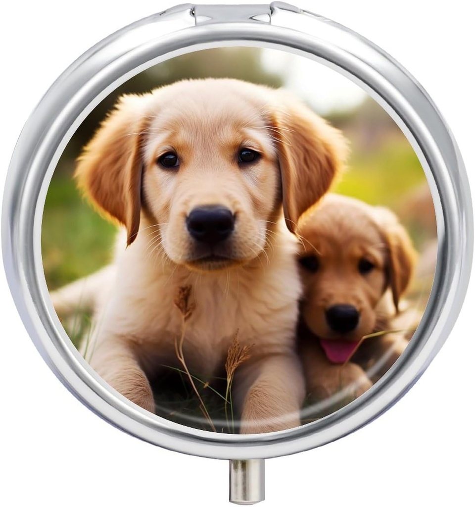 Pill Box 3 Segment Round Pill Organizer Daily Small Pill Case for Travel Cute Golden Retriever Puppy Metal Pill Container Portable Medicine Organizer for Pill Vitaminer Fish Oil Supplement