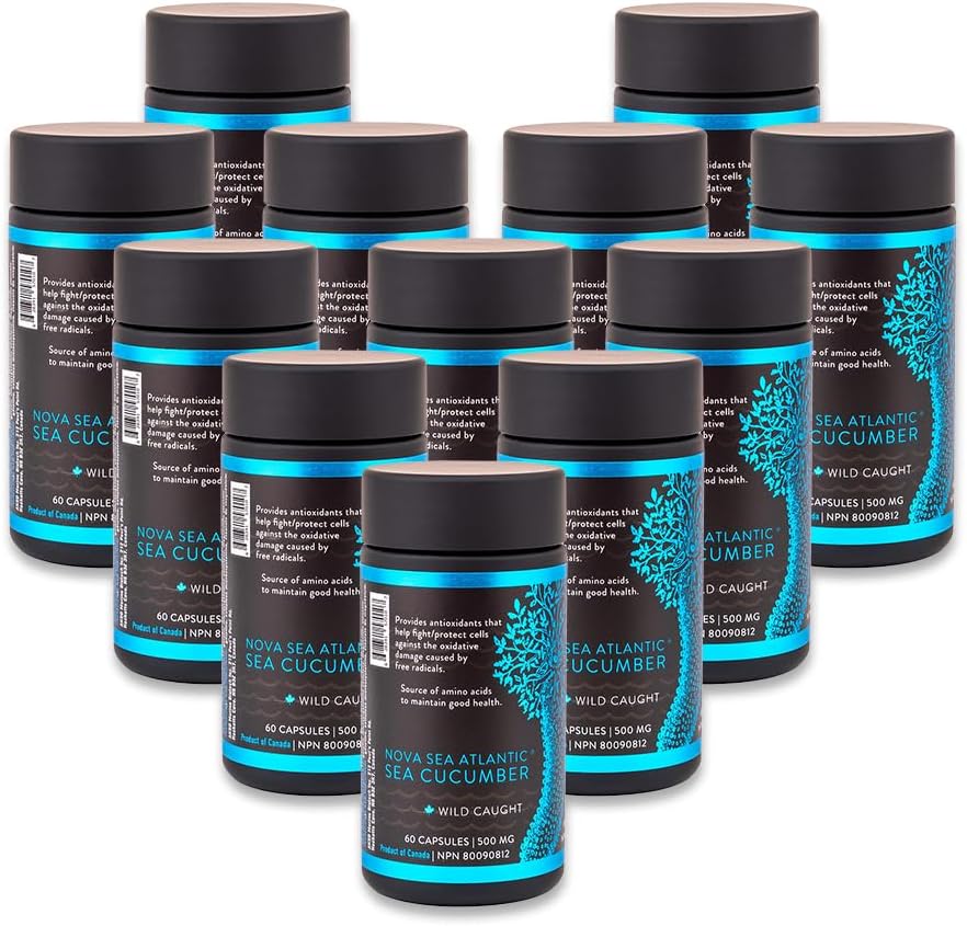 Søagurk supplement, vilde fanget havagurk kapsler med fucosyleret chondroitin vitaminer Mineral - naturlige antioxidant supplement til ældre voksne barn (pakke med 12)