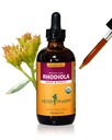 Herb Pharm Certified Organic Rhodiola Root Extract for Energy, Endurance og Stamina, Alkohol- Free Glycerit, 4 Ounce