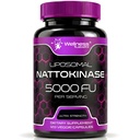 Nattokinase Supplement kapsler 5000 FU, Third-Party Testet Nattokinase - enzymer fra japansk Natto - daglig wellness support - 120 Greve (pakke med 1)