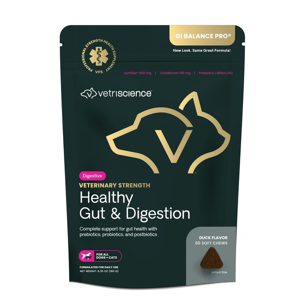 VetriScience Veterinary Strength Sund Gut & Fordøjelse - Pet fordøjelig sundhed supplement til katte & hunde - Gut sundhed & immunforsvar - funktioner Probiotika, Prebiotika & Postbiotika - 60 Greve