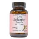 Spilanthes Acmella Extract Decl. 124; 600mg Per Capsule Decl. 124; Urte Supplement for Natural Wellness & Balance