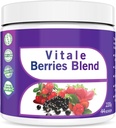 Go Nutra Antioxidant Berries Blend Superfood Smoothie Powder med Acai Maqui Goji & mere Nutritional Boost Smoothie Mix 8oz