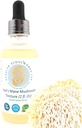 Organic Lions Mane Mushroom Alkohol Tinktur - Holistisk Sundhed - 2 oz Dobbelt Udtrukket, Triple- Micron filtreret giver Superior Klarhed og Renhed.