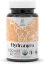 Hydrangea USDA Organic 60 Kapsler • 124; Circulatory System, High- Potency Natural Supplement • 124; Certified Organic Vegetary Capsules and Organic Hydrangea (Hydrangea arborescens) Tørret rod (60 Kapsler)