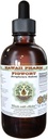 Figwort Alkohol- Free Liquid Extract, Organic Figwort (Scrophulara Nodosa) Tørret Herb Glycerit Hawaii Pharm Natural Herbal Supplement 2 oz